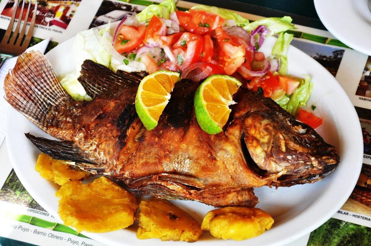 Hosteria Finca El Pigual 푸요 외부 사진